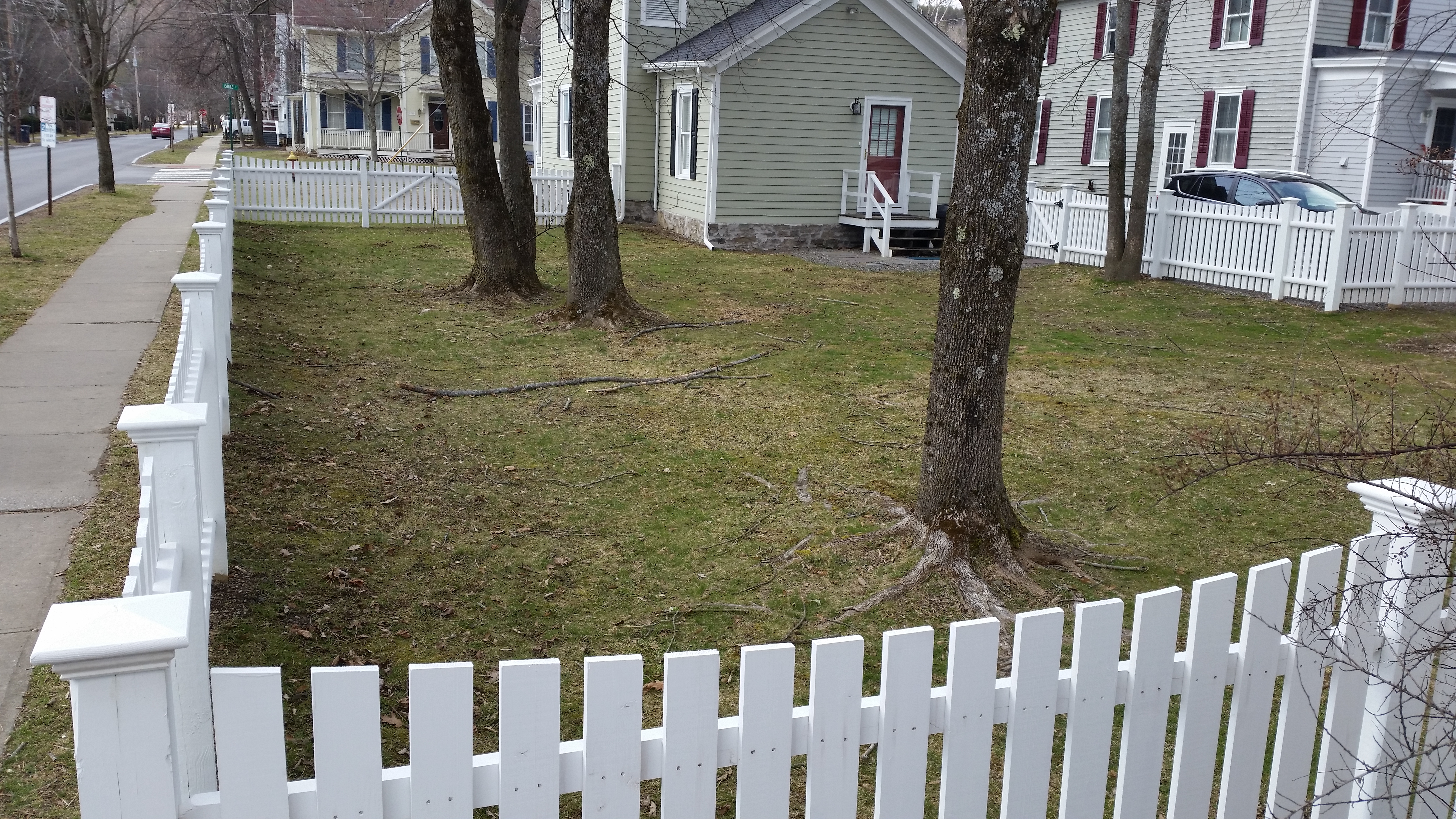 Cedar Picket Fence Preview