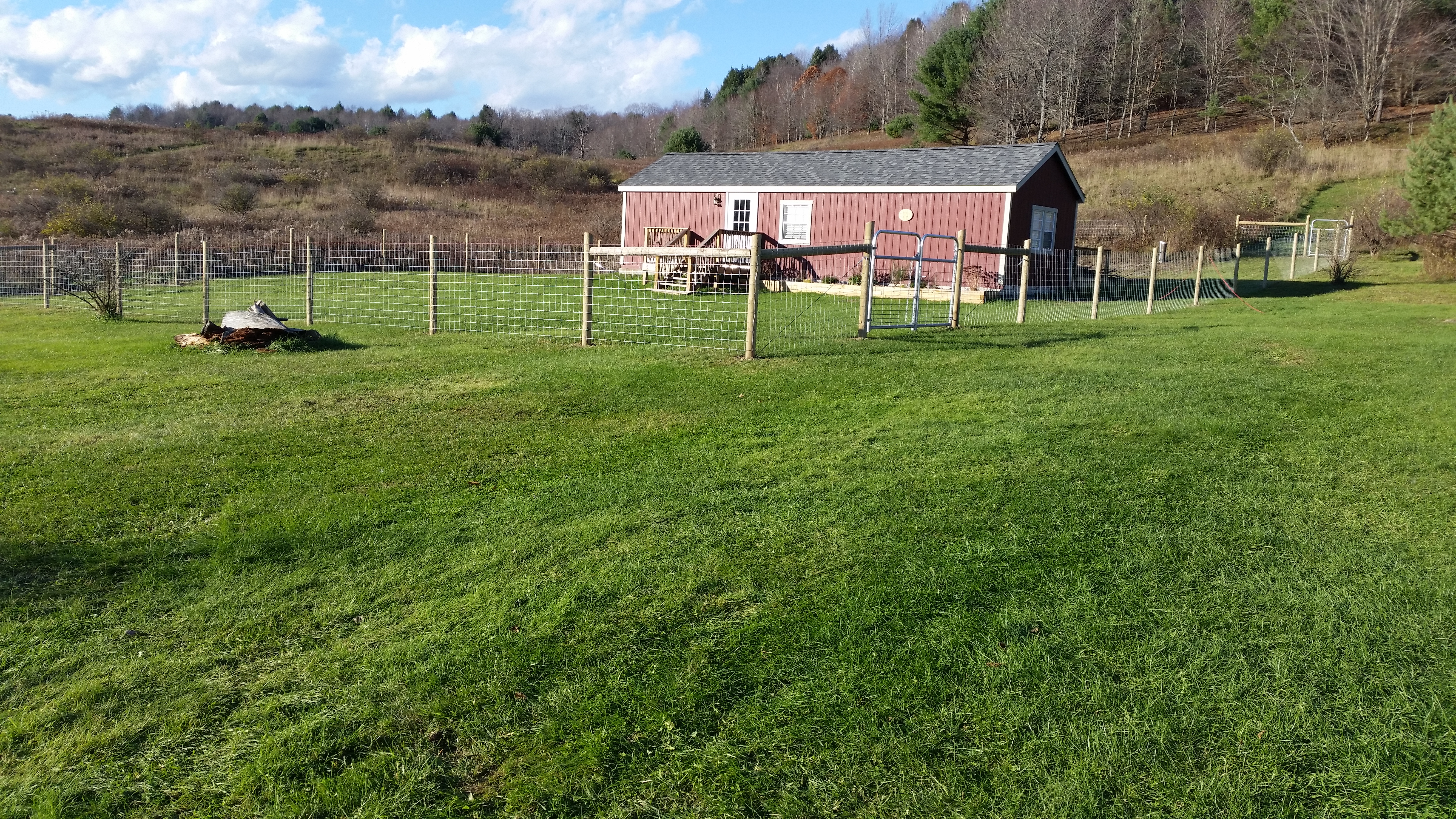 Post and Wire Fence Preview